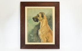 Illustration Interest Signed Original Watercolour And Chalk Pastel Portrait Of Great Dane By M.