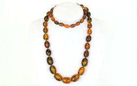 Long Amber Style Necklace, graduating ov