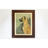 Illustration Interest Signed Original Watercolour And Chalk Pastel Portrait Of Great Dane By M.