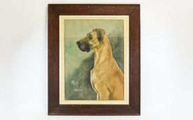 Illustration Interest Signed Original Watercolour And Chalk Pastel Portrait Of Great Dane By M.