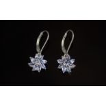 Tanzanite Flower Cluster Drop Earrings, each earring comprising eight marquise cut tanzanites