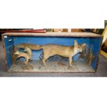 Taxidermy Large Glazed Display Case Containing A Grey Fox And Squirrel Sat On A Log Amongst A