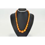 A Fine Nice Quality Antique Butterscotch Natural Amber Bead Necklace with 9ct Gold Clasp. In