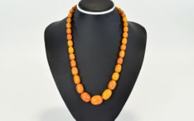 A Fine Nice Quality Antique Butterscotch Natural Amber Bead Necklace with 9ct Gold Clasp. In