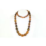 Long Amber Style Necklace, graduating ov