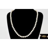 Well Matched High Quality Single Strand White Pearl Necklace with 14kt Gold Clasp.