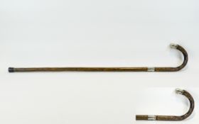 A Mid 19th Century Silver Tipped Partridgewood Walking Cane Antique walking stick with silver tip