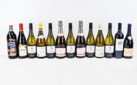 Collection of Qualtiy Wine (13) bottles.