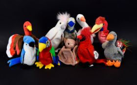 Ty Beanie Babies Interest - Quality Collection of ( 10 ) Ty Beanie Babies - Bird Life,
