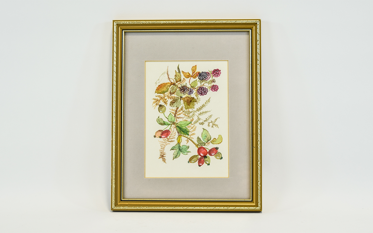 Illustration Interest Original Botanical Study In Watercolour By Patience Arnold 1901-1992 Patience