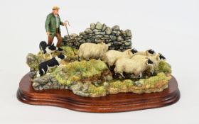 Border Fine Arts - Impressive Ltd and Numbered Edition Large Handmade and Painted Model of a