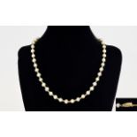 A Good Quality Single Strand Pearl Cultured Necklace with 14ct Gold Spacers and Clasp. Marked 14kt.