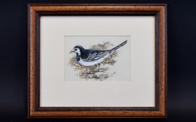 Lesley Anne Ivory (b. 1934) Original Watercolour Painting ' Pied Wagtail' A rare example by world