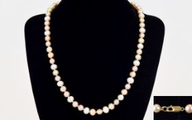 Contemporary and Elegant Two Tone Single Strand Cultured Pearl Necklace with a 9ct Gold Clasp.