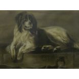 Newfoundland Dog, charcoal sketch by F Smithers?, signed and dated 1892, 47cm x 65cm.