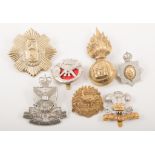 A large collection of Regimental cap and other badges, majority restrikes, (3 boxes).