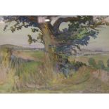 Helen Eileen Cochrane, An Old Oak on Salisbury Plain, watercolour, signed, 25cm x 36cm.