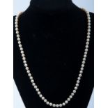 A cultured pearl necklace, eighty-seven 5.