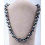 A Tahitian cultured pearl necklace, thirty-two black Tahitian cultured pearls,