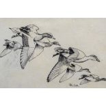 Attributed to Sir Peter Markham Scott Geese in flight bears signature, pen and ink 16.