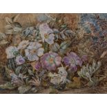 Robert Little Christmas Roses, and other flowers against a mossy bank, initialled and dated '75,