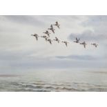 Roland Green Barnacle geese in flight signed, watercolour with body colour 32cm x 45cm, foxed.