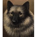 Henry Crowther Black Mundo, portrait of a dog, signed and dated 1932, oil on board,