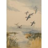 Attributed to Roland Green Teal in Flight watercolour 48cm x 35cm Provenance: with Mandell's