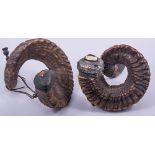 A Victorian ram's horn and white metal mounted snuff mull, white metal lid,