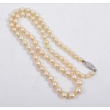 A graduated cultured pearl necklace, seventy-one pearls graduating from 5mm to 8.