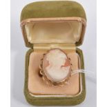 An oval carved shell cameo ring, the female profile facing right, 25mm x 18mm,