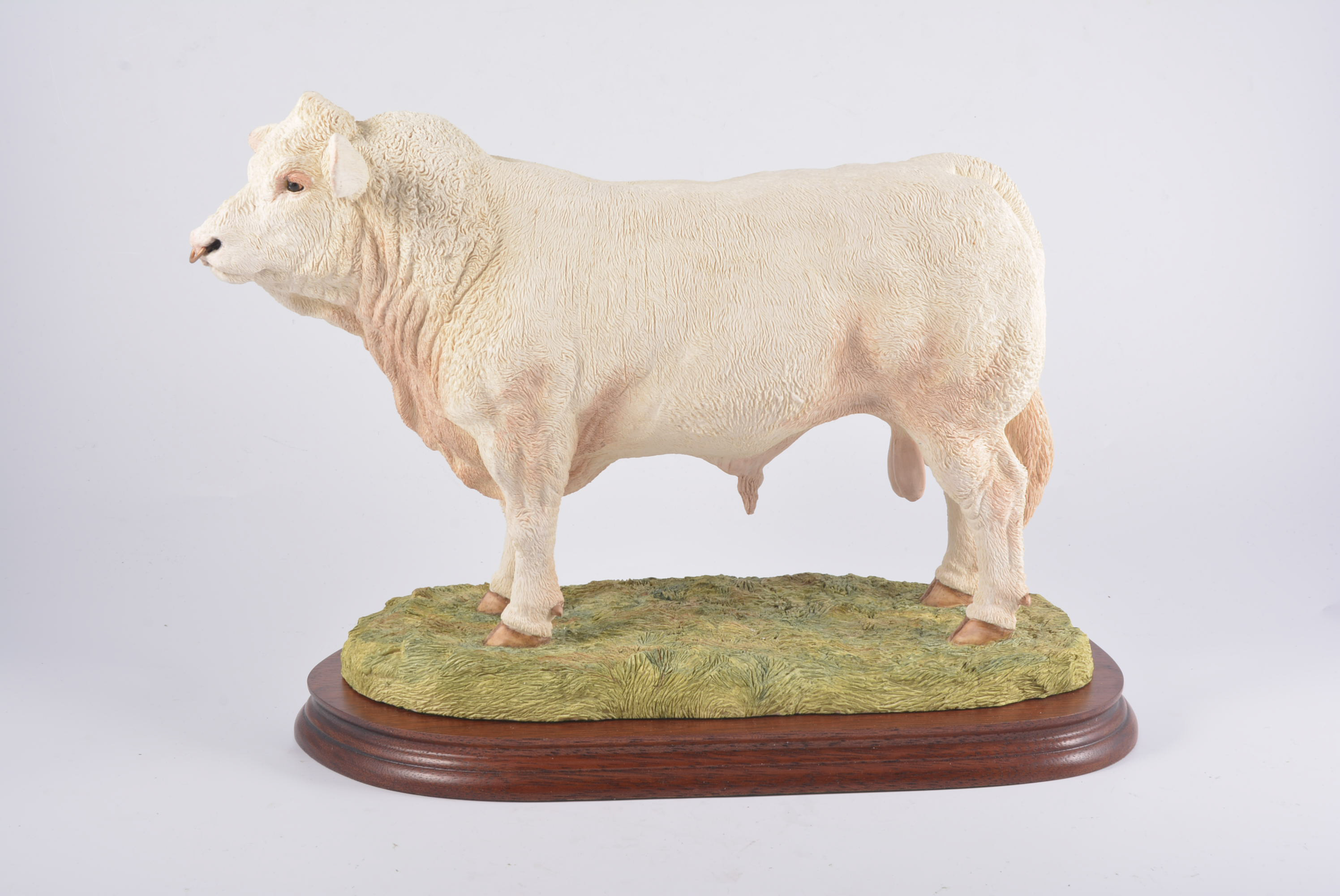 Border Fine Arts model of Charolais Bull, No 373/950, with certificate, height 26cm.