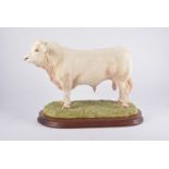 Border Fine Arts model of Charolais Bull, No 373/950, with certificate, height 26cm.