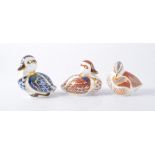Royal Crown Derby paperweights - Swimming duck, Sitting duck, Member pack 2006 duckling, all boxed,