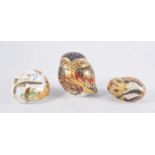 Royal Crown Derby paperweights - Country mouse, Dormouse, gold button boxed and Little Owl,