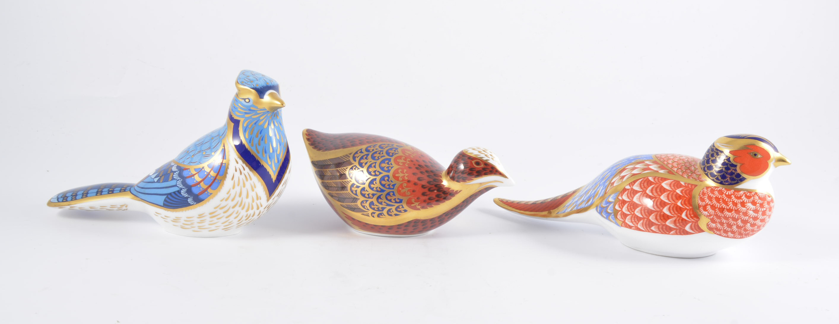 Royal Crown Derby paperweights - Coot, Blue Jay, both gold button, both boxed, Pheasant,