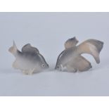 Two Royal Copenhagen porcelain fish models, including Fantail Fish, 3064, and American Perch, 2553,