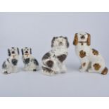 Collection of King Charles spaniels, various sizes.