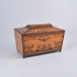 A birds eye maple and rosewood tea caddy, casket form, with scrolling designs to each panel,