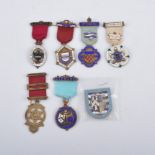 Masonic Interest: Collection of enamelled Masonic jewels, other badges, Masonic ceramics and glass,