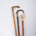 A selection of walking sticks.