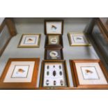 Framed Trout Flies, plus a box framed set of beetles,