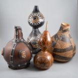 Collection of Gourds - various sizes and shapes.