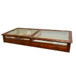 Large Victorian walnut glazed display case, possibly from a museum,