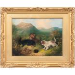 Manner of Edward Armfield Three terriers bears signature, oil on canvas 31cm x 41cm.