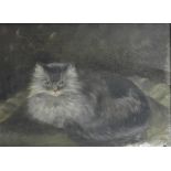 B.B., study of a cat, initialled and dated 1900, oil on canvas, damaged, 27cm x 36cm.