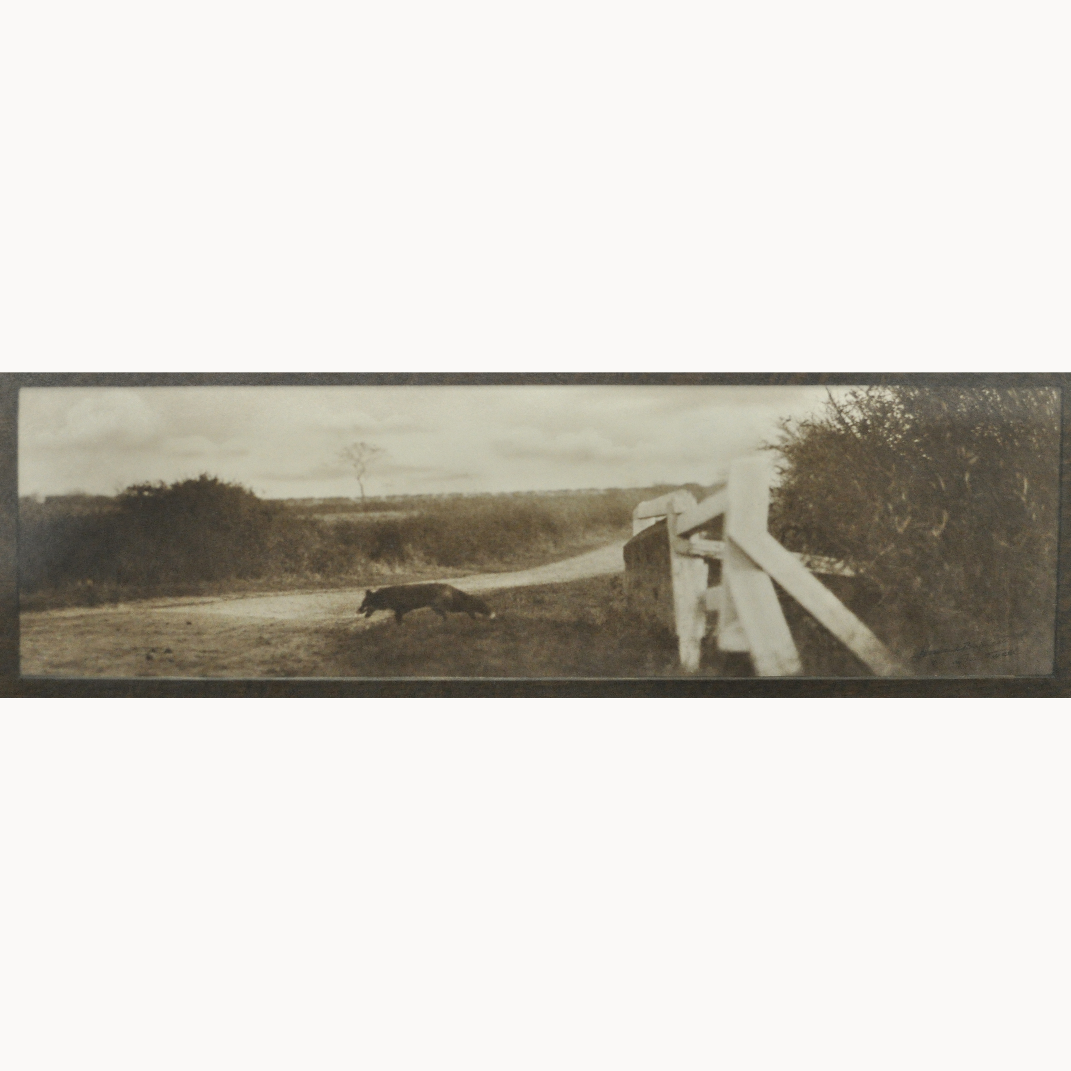 Howard Bennett, A Sinking Fox, signed photograph, 20 x 58cm.