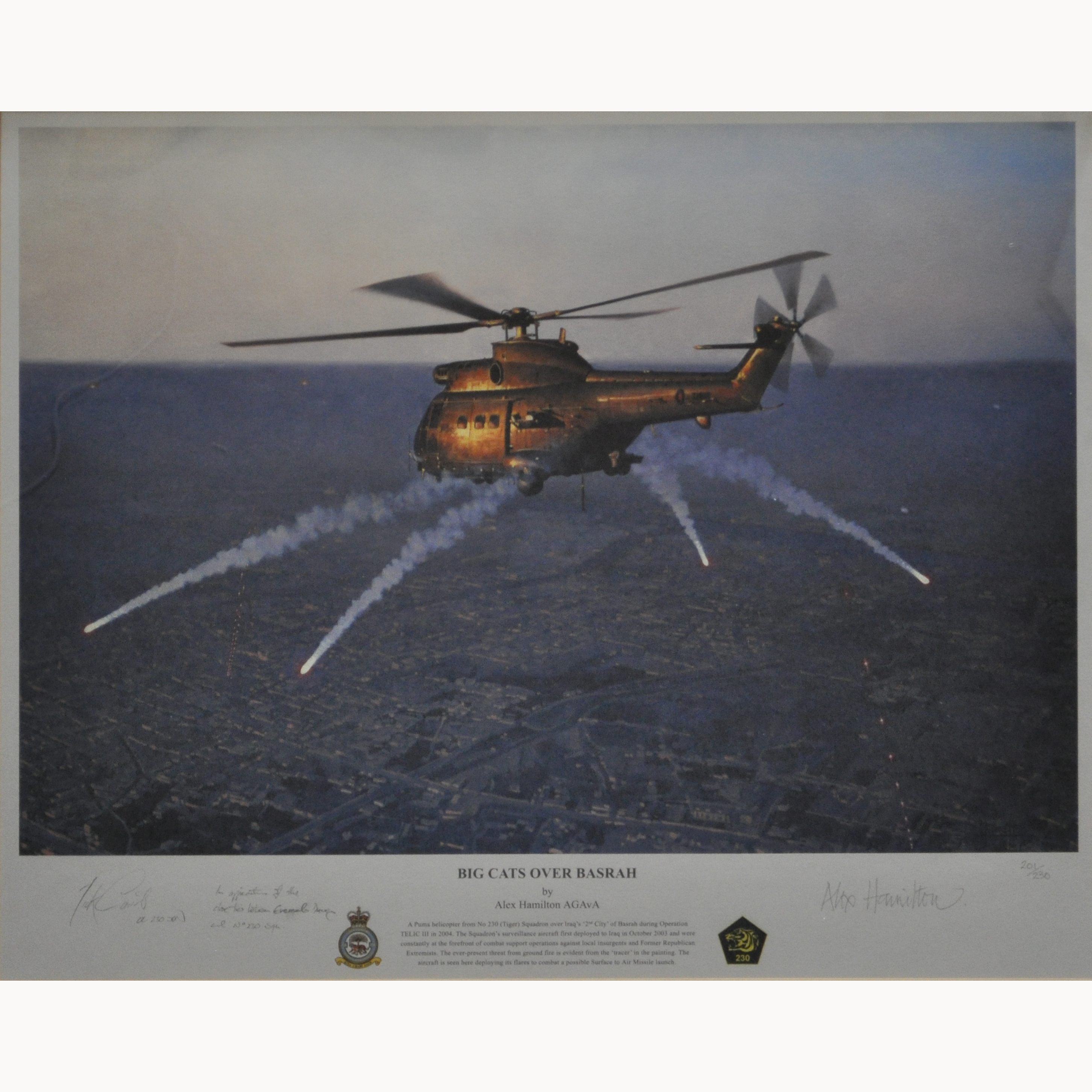 After Alex Hamilton, Big Cats Over Basrah, limited edition signed print, no.201/230, 42 x 60cm.