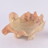 Royal Worcester blush shell dish, decorated with flowers on three shell feet G971, 24cm diameter,