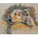 In the manner of Cecil Aldin, "Mickey" dog portrait study, pastels, 47cm x 57cm.